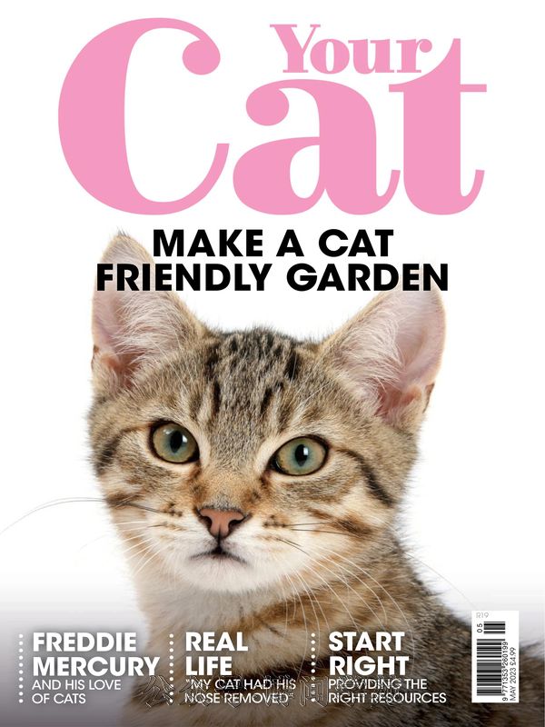 Your Cat 英国宠物猫杂志 2023年5月刊 (.PDF)