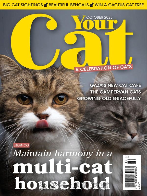 Your Cat 英国宠物猫杂志 2023年10月刊 (.PDF)