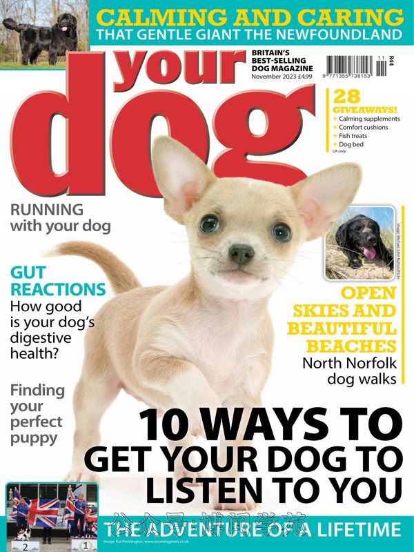 Your Dog 英国宠物狗杂志 2023年11月刊 (.PDF)